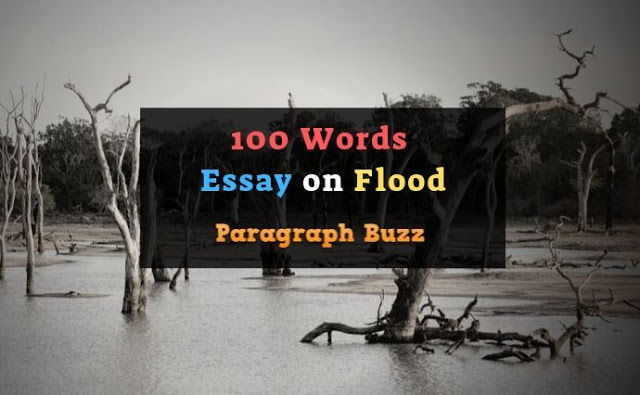 100 Words Essay on Flood