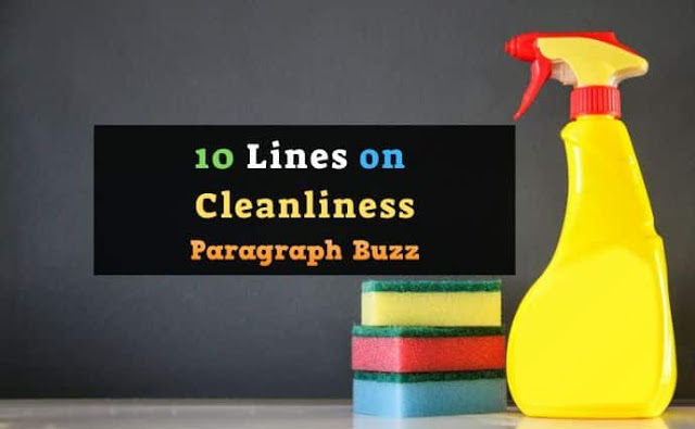 10 Lines on Cleanliness in English