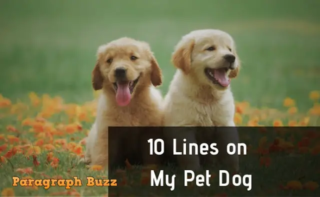 10 Lines on My Pet Dog