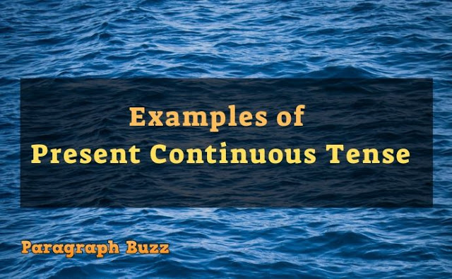  Present Continuous Tense Examples