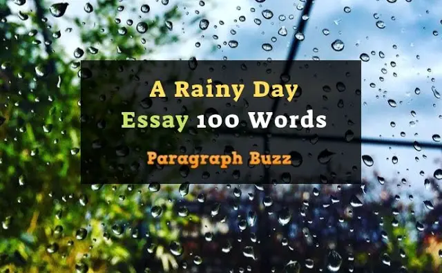 Essay on a Rainy Day 150 Words