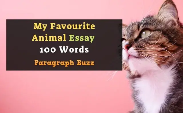 My Favourite Animal Essay 100 Words 