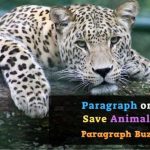 Paragraph on Save Animals