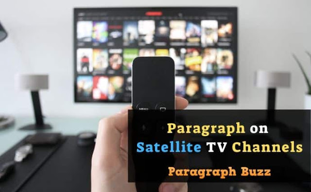 Satellite TV Channels Paragraph 