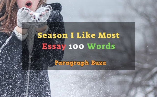Essay on the Season I Like Most 100 Words