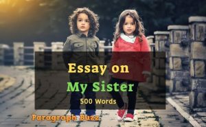 my sister essay 500 words