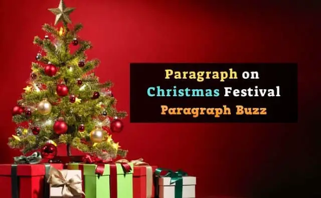 christmas break 5 paragraph essay